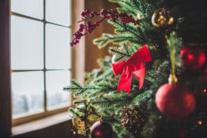 Typer af juletræer - Køb et juletræ til jul