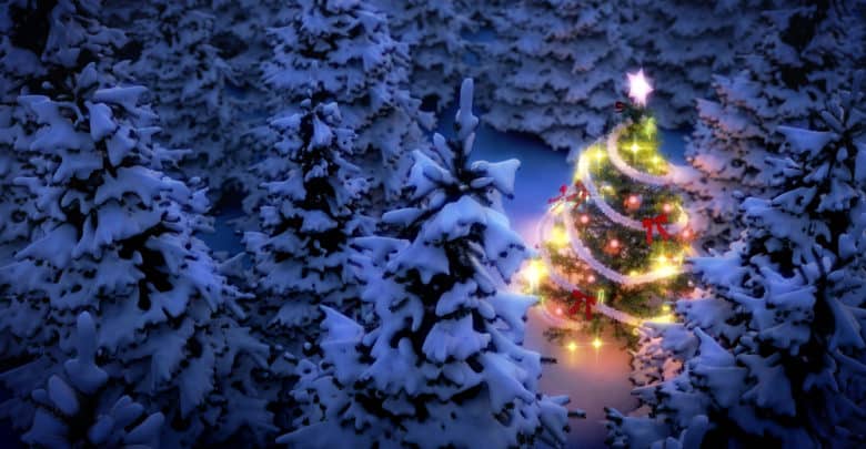 Grantræet som juletræ